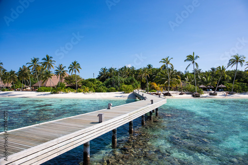 Fototapeta Naklejka Na Ścianę i Meble -  Beautiful beach and island in the Maldives