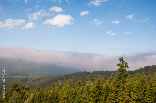 landscape in mountains