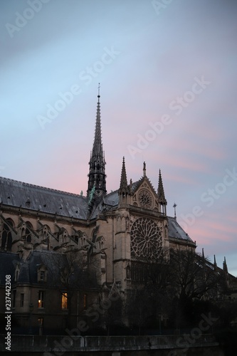 Notre Dame Cathedral, pink and light blue sky