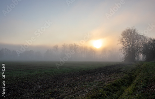 The Sun Shines Over Fog-covered Fields