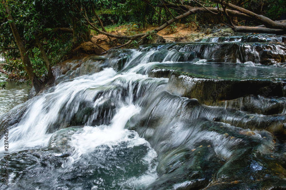 Obraz premium Waterfall in the rain forest