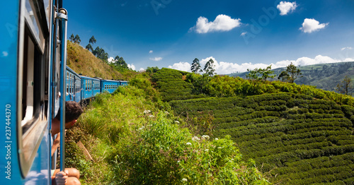 Tableau sur toile train from Nuwara Eliya to Kandy among tea plantations in the highlands of Sri L