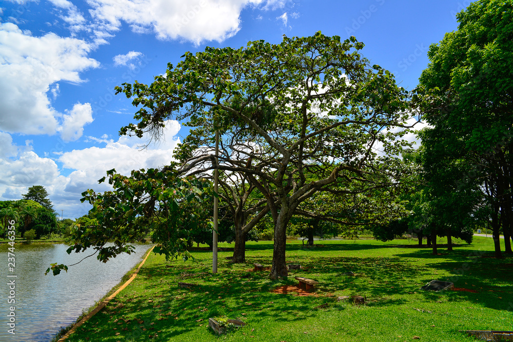City Park in Brasilia, Brazil
