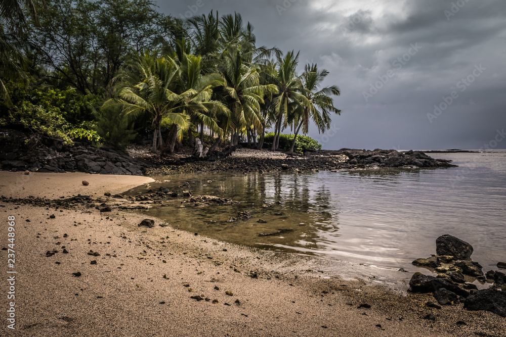 Fototapeta premium tropical beach with palm trees and stormy sky