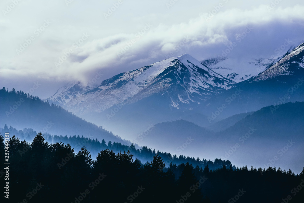 Amazing foggy high alpine mountains landscape. Pine forest valley in a fog. Snow peaks, winter season, panorama.