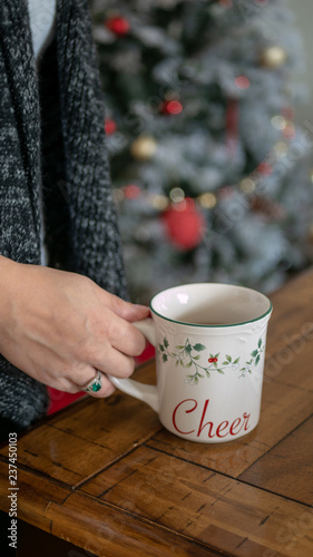 Christmas mug woman holding