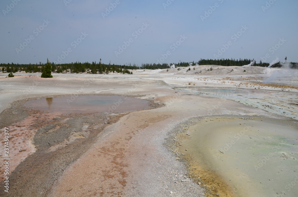 NORRIS GEYSER BASIN YELLOWSTONE NATIONAL PARK (WYOMING) USA NORRIS GEYSER BASIN YELLOWSTONE NATIONAL PARK (WYOMING) USA
