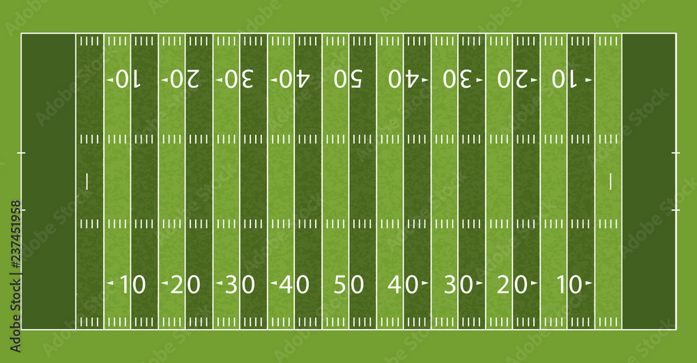 Fototapeta American Football Field with Line and Grass Texture. Vector illustration.