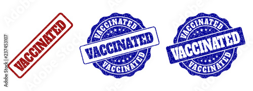VACCINATED scratched stamp seals in red and blue colors. Vector VACCINATED labels with draft style. Graphic elements are rounded rectangles, rosettes, circles and text captions.