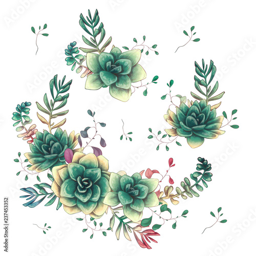 Set of floral succulents compositions in hand draw style. Composition of plant and branches. Vintage elements for invitations, greeting cards, covers and other items.