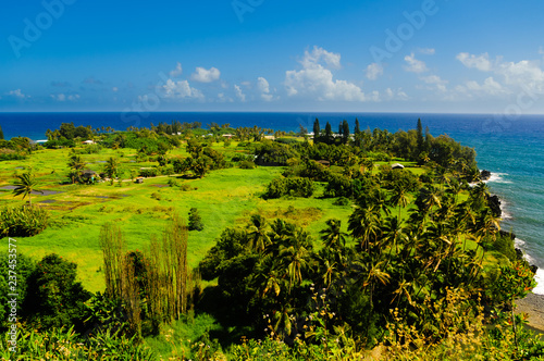 Spectacular ocean view on the Road to Hana  Maui  Hawaii  USA