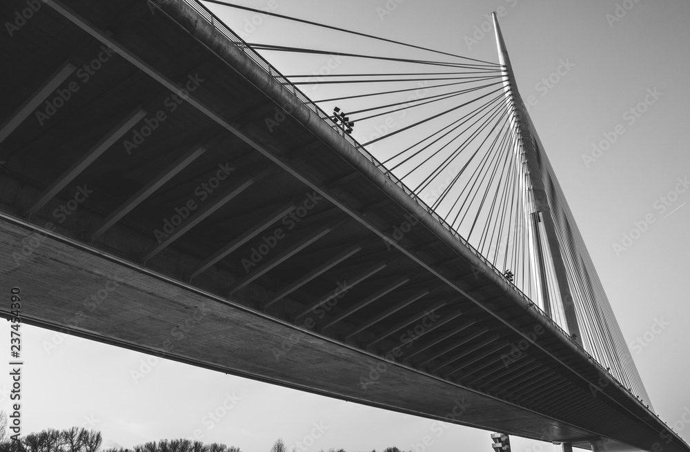 Fototapeta premium Admiring pylons extending to a top of the tower from underneath the bridge