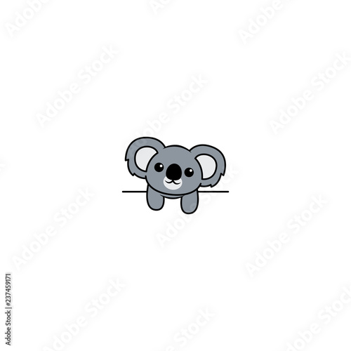 Cute koala over white wall, vector illustration