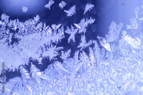 Frosted Window with unique pattern appearance of a frozen forest of evergreen trees