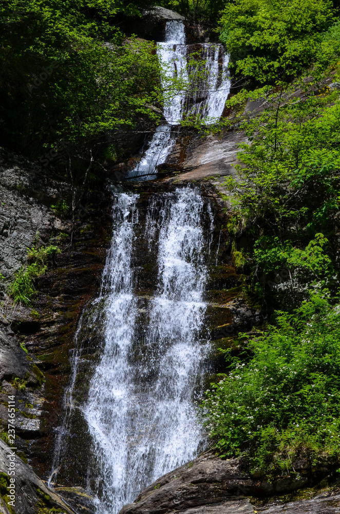 Waterfall in the Pisgah National Forest in western North Carolina