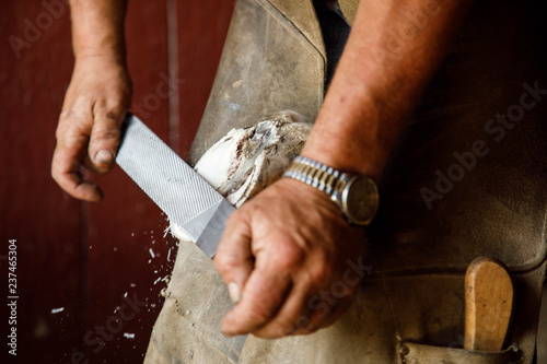 Farrier Rasping Hoof