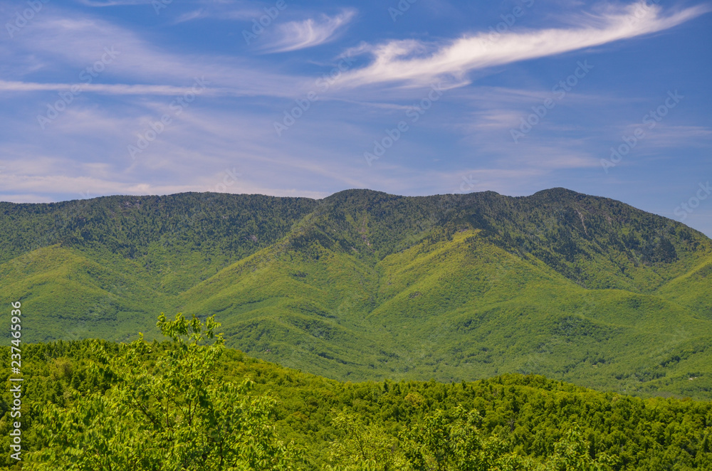 Vista of the Blue Ridge Mountains in the Pisgah National Forest in western North Carolina