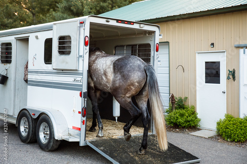 Horse Going in Trailer