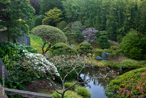 Japanese Tea Garden - San Francisco