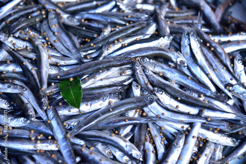 Fresh sprats with coriander seeds and bay leaf.