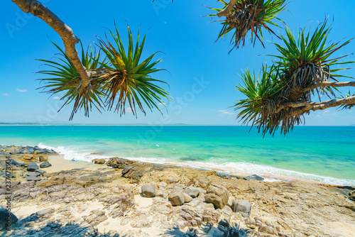 Fototapeta Naklejka Na Ścianę i Meble -  Noosa National Park on a perfect day with blue water and pandanus palms