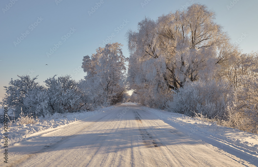 Fototapeta premium snowy road in a winter forest