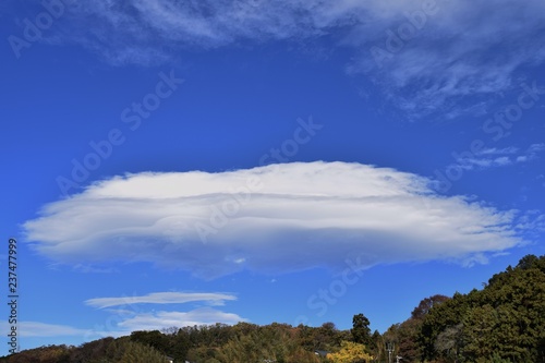 Autumn spectacle / Blue sky and white clouds