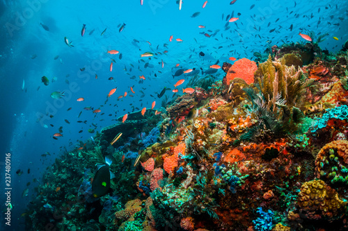 Underwater scuba diving scene, beautiful and healthy soft and hard corals surrounded by lots of tiny tropical fish. Bright colors, vibrant and lively, blue ocean background © Aaron