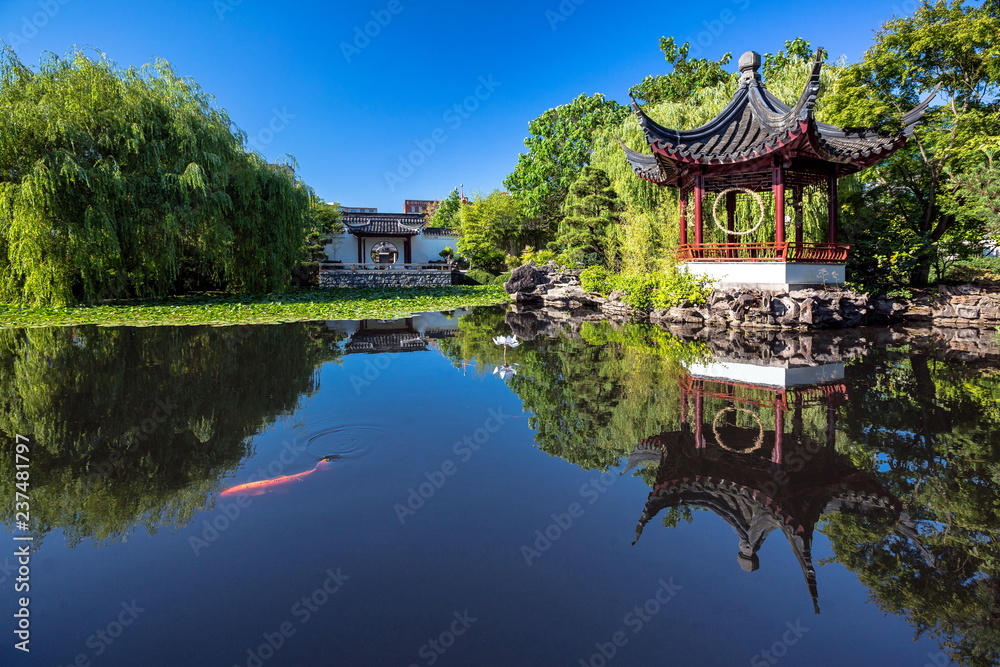 Obraz premium The Dr. Sun Yat-Sen Classical Chinese Garden is located in Vancouver's Chinatown district Created in the style that is typical of the Ming Dynasty. Trees, flowers and plants 