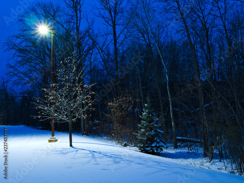 Fotografie Winter Christmas like scene at dusk