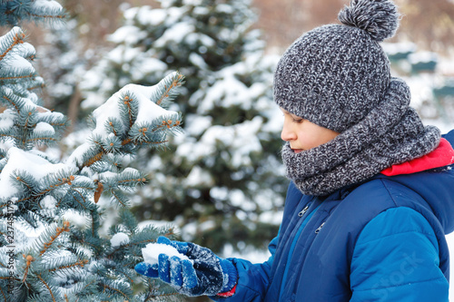 cute young boy in blue jacket plays with snow, has fun, smiles. Teenager looks at blue fir tree with snow brunces in winter park. Active lifestyle, winter activity, outdoor winter games