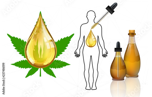 Marijuana plant and cannabis oil bottles vector.