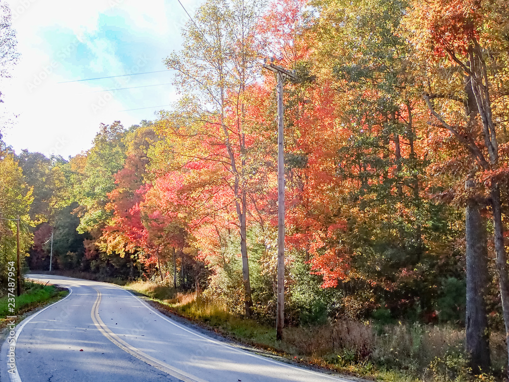 Curved two lane country road thru the  forest in fall colors