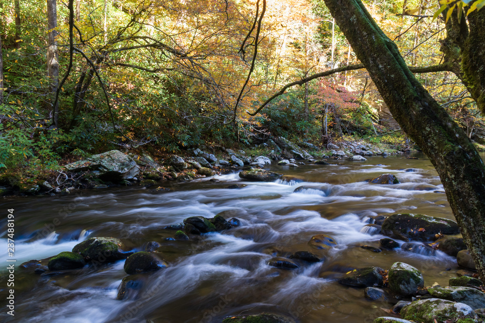 Middle Prong Little River surrounded by Fall Foliage in the Great Smoky Mountains National Park Tennessee