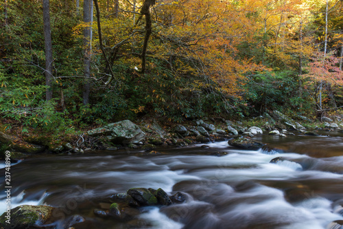 Middle Prong Little River surrounded by fall foliage in the  Great Smoky Mountains National Park  Tennessee