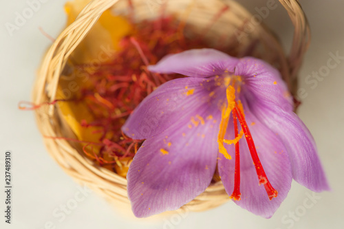 Dried saffron spice in small basket and saffron´s flower