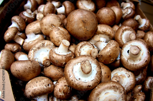 pile of mushrooms for sale at a market