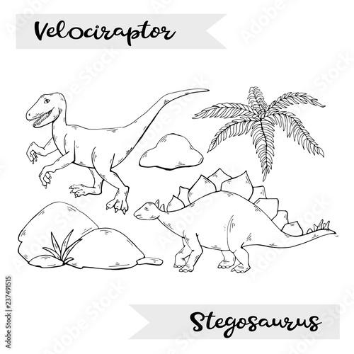 Vector Velociraptor and Stegosaurus isolated on a white background