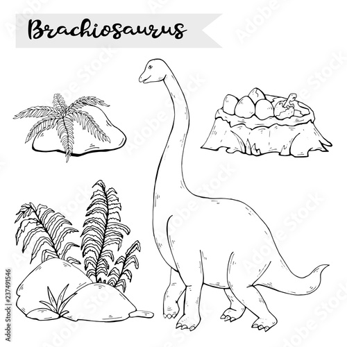 Vector Brachiosaurus with plant and stone isolated