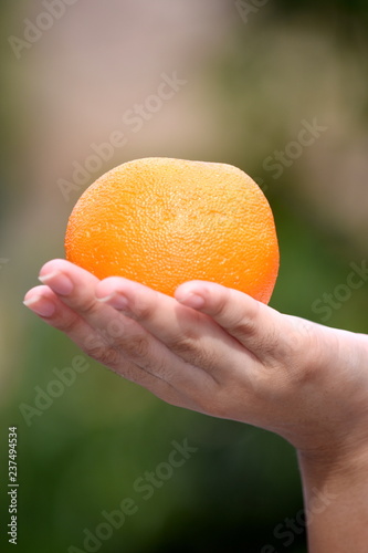 Female Hand Holding Fruit