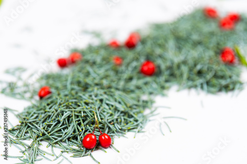 holly berries with pine needles
