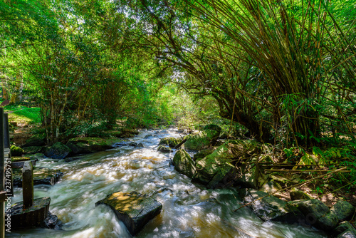Beautiful waterfall in natural 