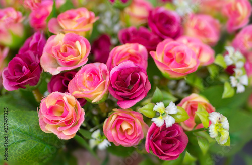 Decoration artificial pink and red roses flower bouquet as a floral background or wallpaper. Bunch of beautiful colorful flowers with soft focus and copy space.