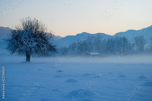 nella nebbia e nel gelo si intravede in lontananza la piccola casetta di Babbo Natale