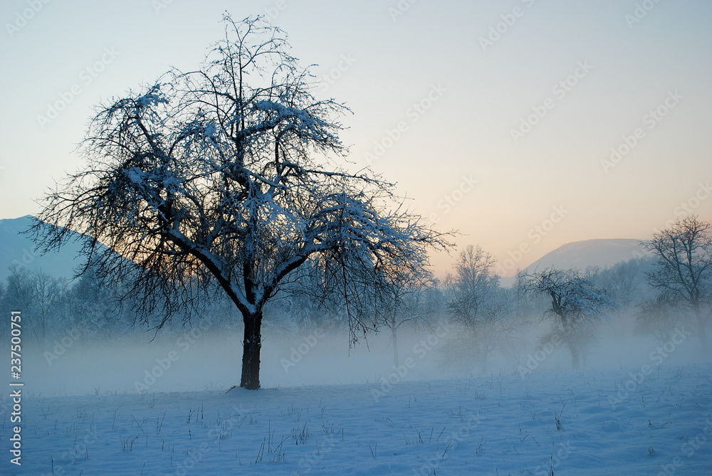 arriva la nebbia in una bellissima giornata invernale, fredda e limpida arriva la nebbia in una bellissima giornata invernale, fredda e limpida