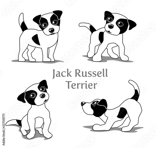 Vector illustration of Jack Russell Terrier in various poses.