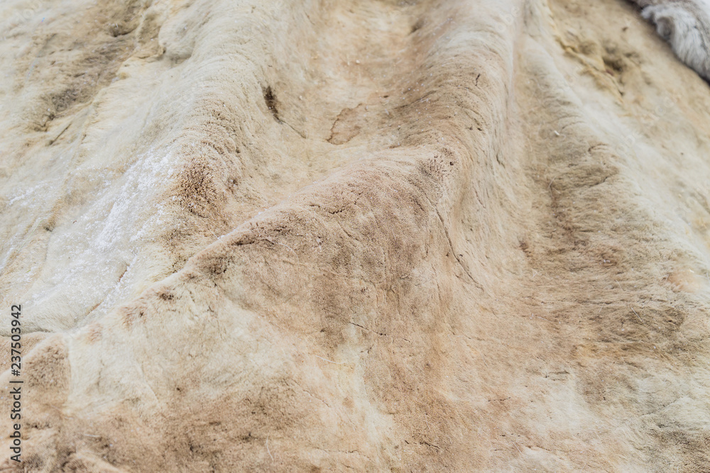 deer skin background texture, seamless pattern for design deer skin background texture, seamless pattern for design