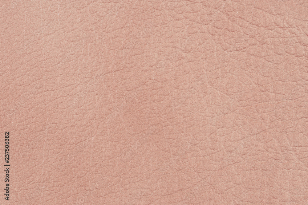 Fototapeta premium Close-up of natural grain cow leather Light brown leather texture surface.