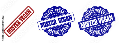 MISTER VEGAN grunge stamp seals in red and blue colors. Vector MISTER VEGAN labels with distress style. Graphic elements are rounded rectangles, rosettes, circles and text titles.