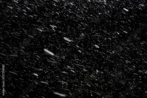 Falling down real snowflakes at the snowstorm weather isolated on black background. For use as layer snow in your project.